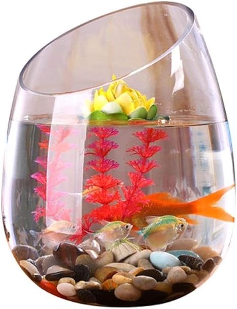 Transparent Glass Small Fish Tank Personality Creative Dual Use