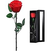 Hombees Preserved Rose Flower Gifts for Women – Forever Real Rose Flowers for Mom, Wife, Grandma, or Girlfriend – Ideal for Mother’s Day, Birthday, or Anniversary