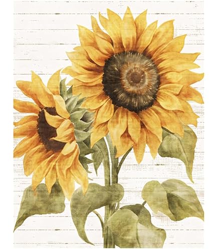油絵 絵画 【sunflower】 Amazon.com: ZXHYWYM Sunflower Canvas Wall Art Vintage
