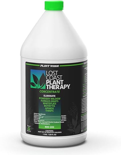 Amazon Com Lost Coast Plant Therapy 1 Gallon Natural Miticide Fungicide Insecticide Kills On Contact Spider Mites Powdery Mildew Garden Outdoor