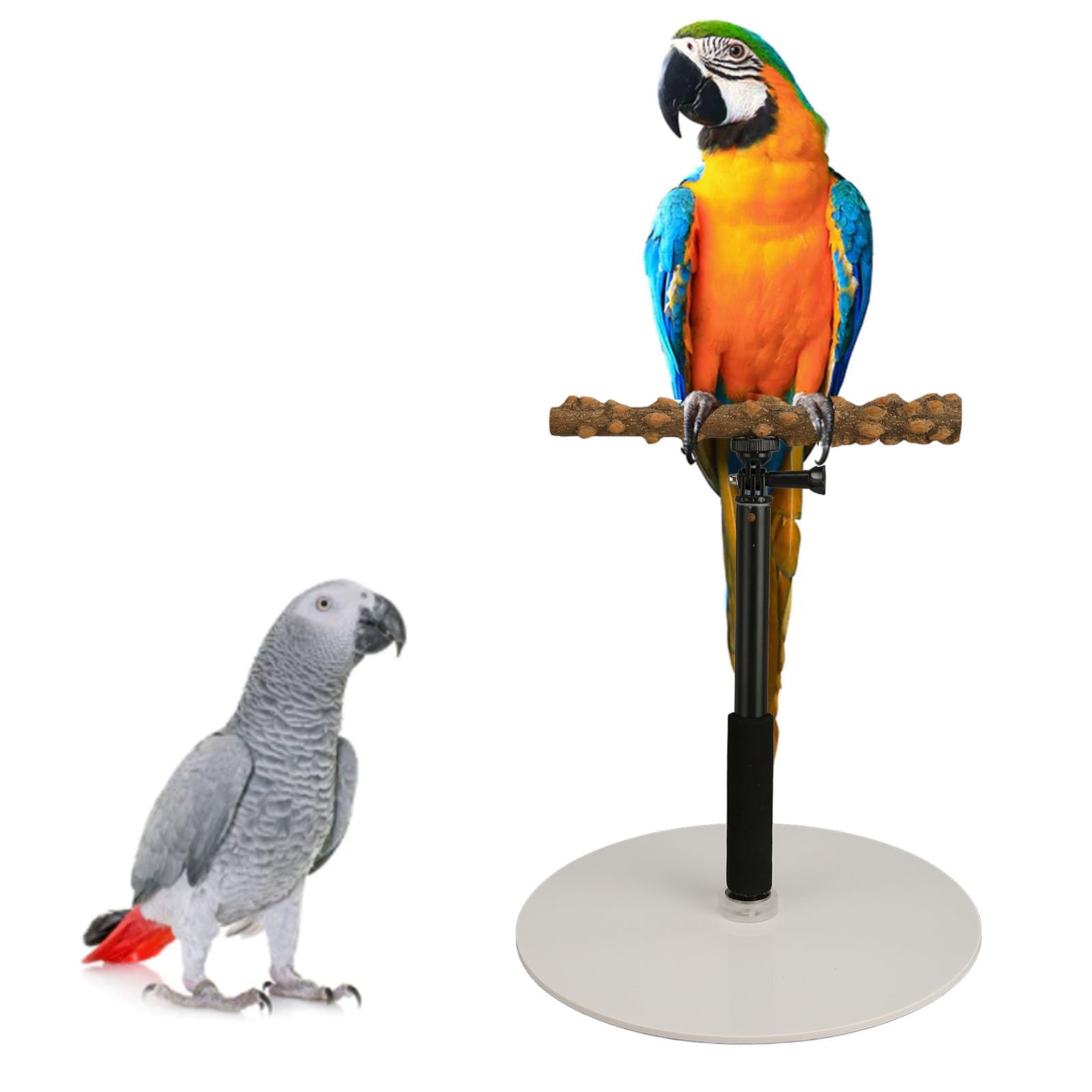 Play Stand with Portable Perch – Bird Supplies for Small to Medium Parrots, & Easy to Assemble