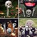 Realistic Skeleton Stakes Bones Skull Head and Hands Halloween Skeleton Decorations for Yard Lawn Stakes Garden Outdoor Halloween Decorations Scary Skull Skeleton Halloween Graveyard Décor (large)