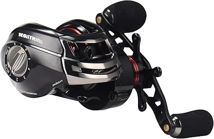 best fishing reels for beginners