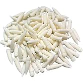 PHOSYNDYE 20 Pcs Soft Brush Marker Nibs Acrylic Paint Pen Accessories | Fit for Guangna and Languo 9/12/24/48/64/128/168/240/288 Colors