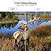 Trail Camera, 2018 Upgraded Distianert 720P 12MP Hunting Game Camera, Wildlife Camera with Upgraded 850nm IR LEDs Night Vision 65ft, IP66 for Home Security Wildlife Monitoring/Hunting