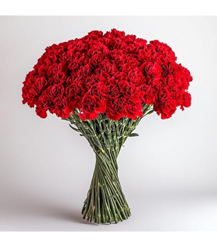 Amazon.com : Farm Fresh Natural Novelty Assorted Carnations - 100