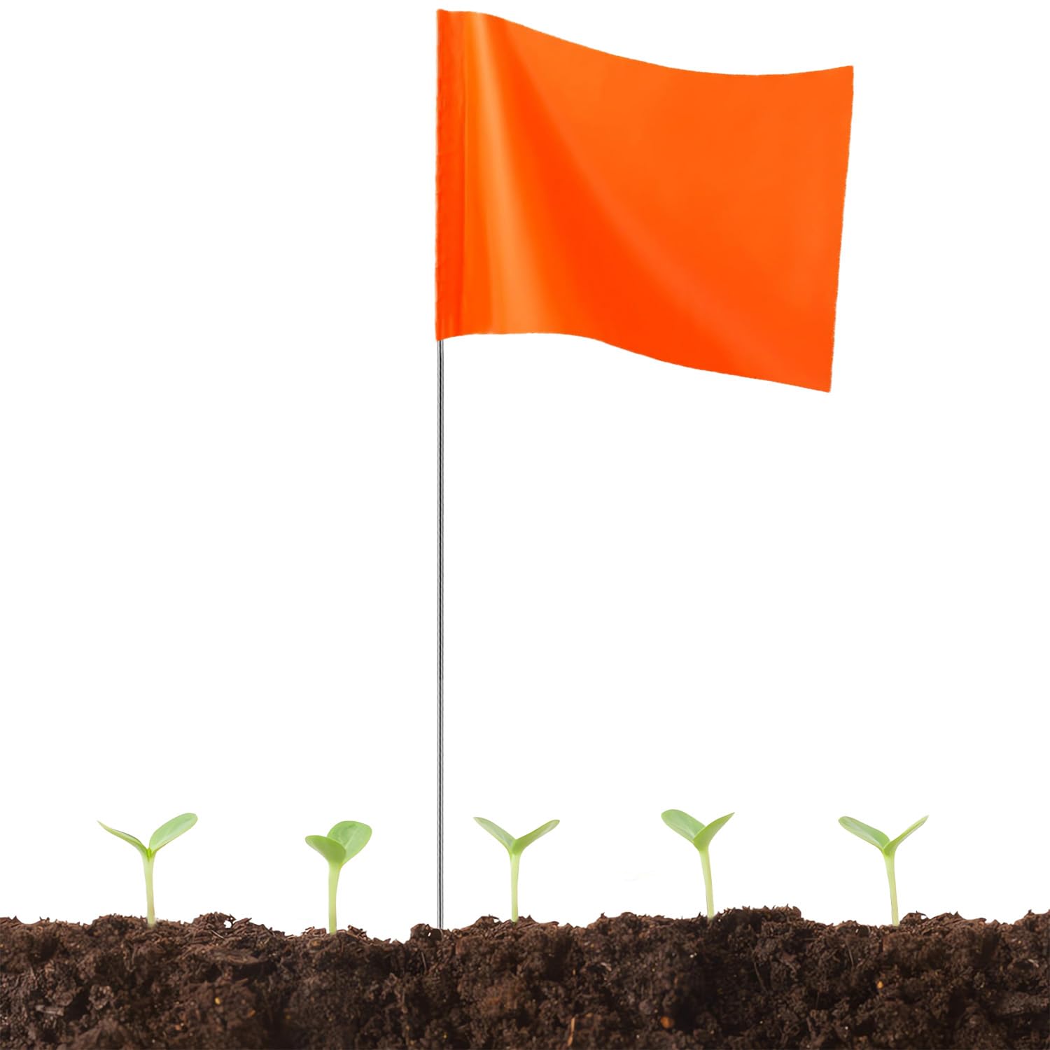 Mua Dog Invisible Fence Training Flags for Yard, 4x5x15 inch Utility