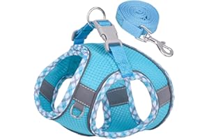 DoggieKit Dog Harness for Small Medium Dogs No Pull Adjustable Step in Puppy Harness and Leash Set,Reflective Breathable Mesh