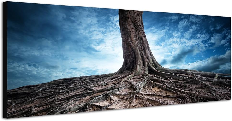 Canvas Wall Art Large Panorama 150x50 cm Tree Trunk Roots Earth Fantasy Picture