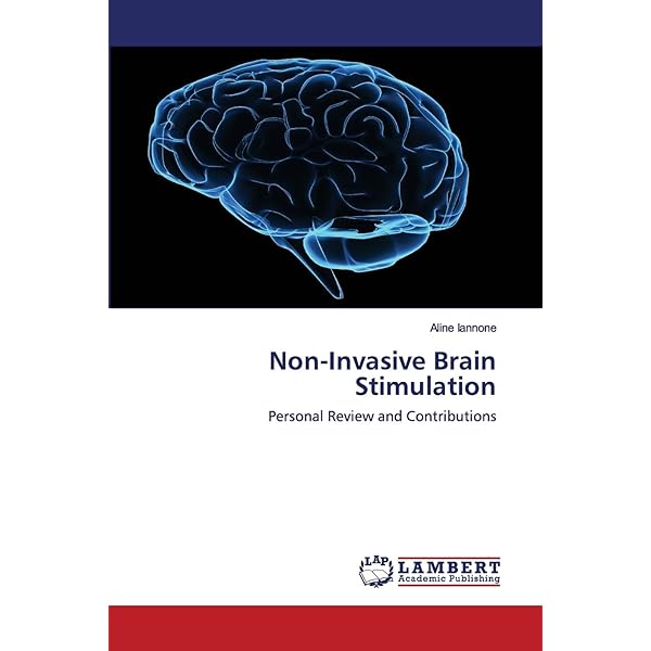 The Stimulated Brain: Cognitive Enhancement Using Non-Invasive