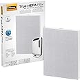 AeraMax 200 Air Purifier True HEPA Authentic Replacement Filter with AeraSafe Antimicrobial Treatment (9287101)