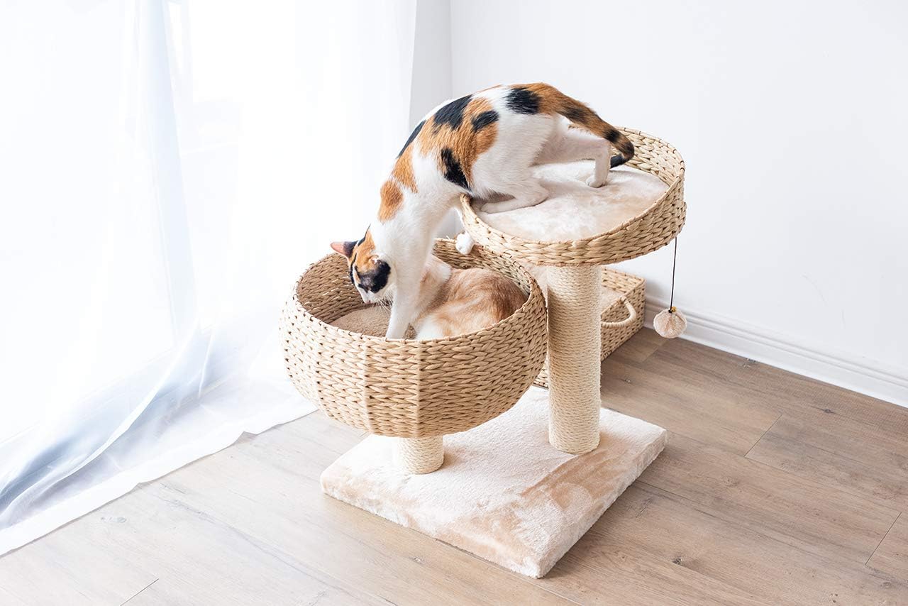 PetPals Cozy Cat Tree : Pet Window Perches : Pet Supplies