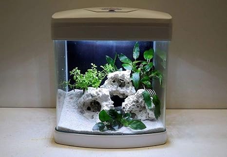 Amtra Nano Aquarium Xcube in weiß Komplettaquarium LED Beleuchtung Mondlicht Filter Komplett Becken Tank Tag Nacht