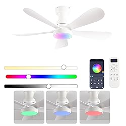 NKPU 42 Inch Ceiling Fans with Lights and