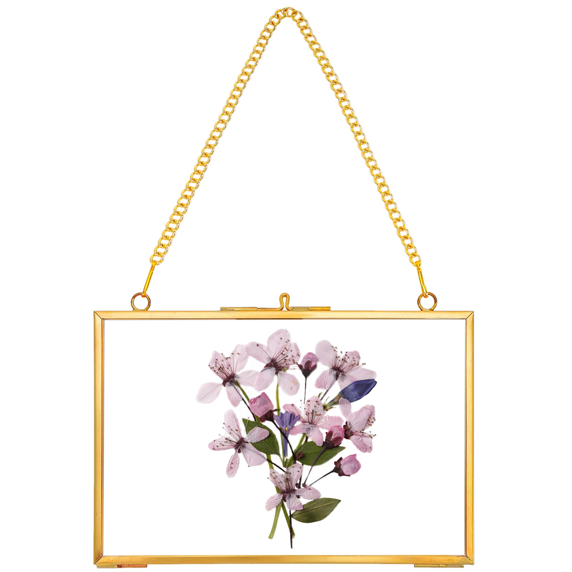Photo 1 of REDHUGO Hanging Pressed Flower Frame Handmade, Double Glass Picture Frame Floater frame Floating Frame for Pressed Flowers Home Wall Artwork, Rectangle Horizontal 4×6 inches, Gold (FRAME ONLY)