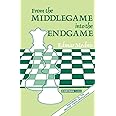 From Middlegame Into Endgame