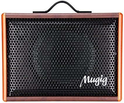bluetooth speaker guitar amp