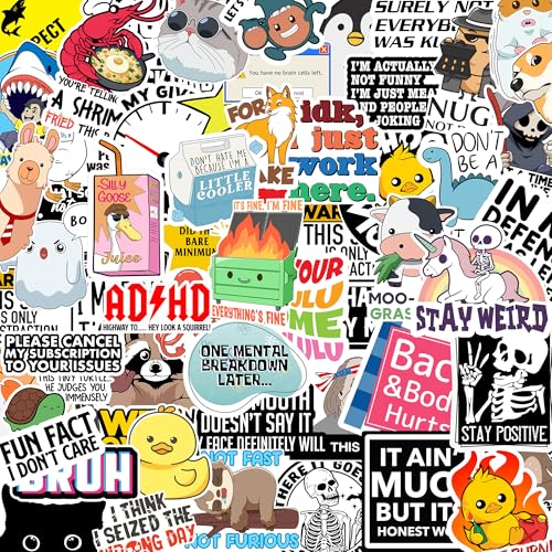 Debinolo Funny Saying Stickers