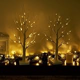 Eambrite Set of 2 Small Birch Twig Tree Lights 60cm Battery Operated view 3