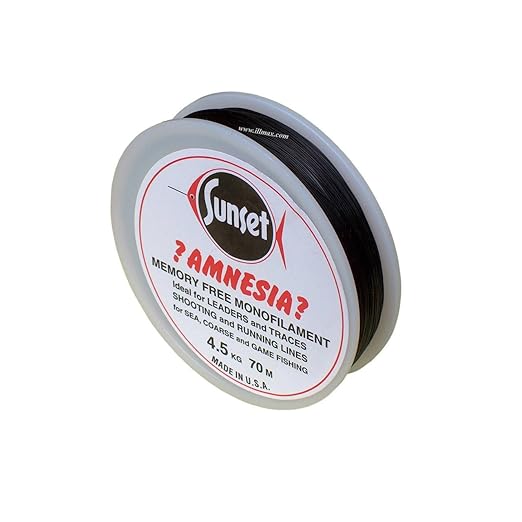 Amnesia Monofil Angelschnur 100m - 20lb Stärke Farblos