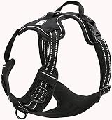Truelove TLH5651 No-Pull Reflective Stitching Dog Harness Large Black