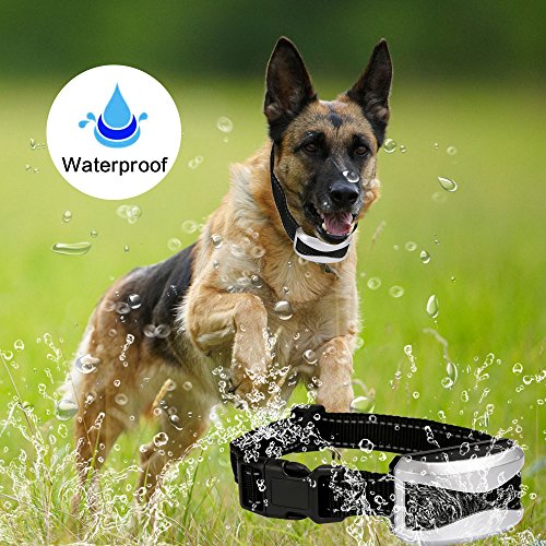 5 Training+Rechargeable+Waterproof+Adjustable+Vibration
