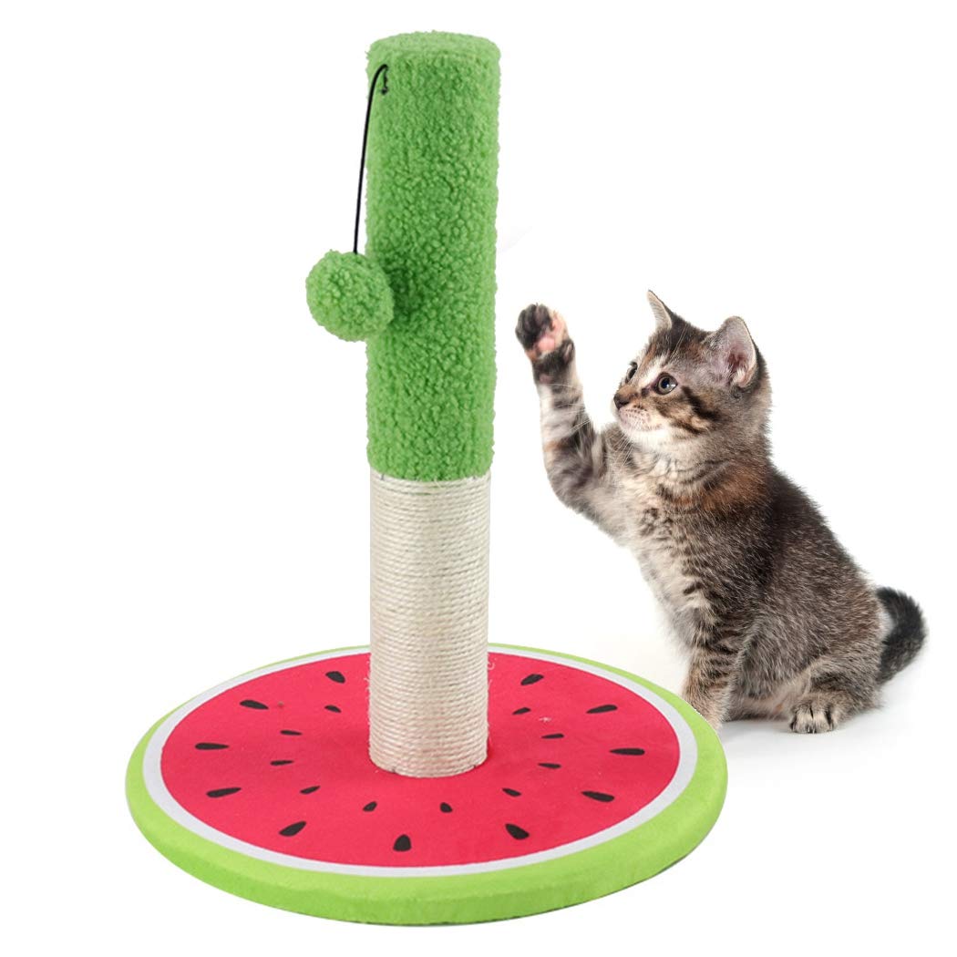 boxoon Kitten Scratch Post Sisal Training Cat Interactive Toy Cat