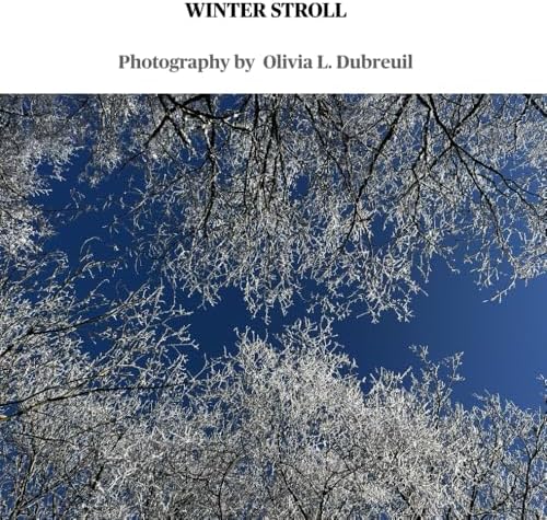The Art of the Snowflake: A Photographic Album: Libbrecht, Kenneth
