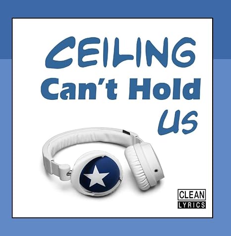 Buy Ceiling Can T Hold Us Online At Low Prices In India Amazon