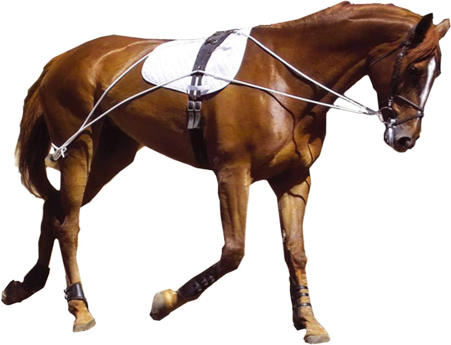 Hunters Saddlery Ultimate Horse Lunging Training Aid System Lunge Equipment - Pony, Cob/Horse, Draft Size