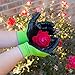 Bamboo Garden & House Work gloves100% Eco-Friendly Highly Durable w/ Special Double Coating for Pruning Thorn Proof Durable Long Lasting For Men Women Medium