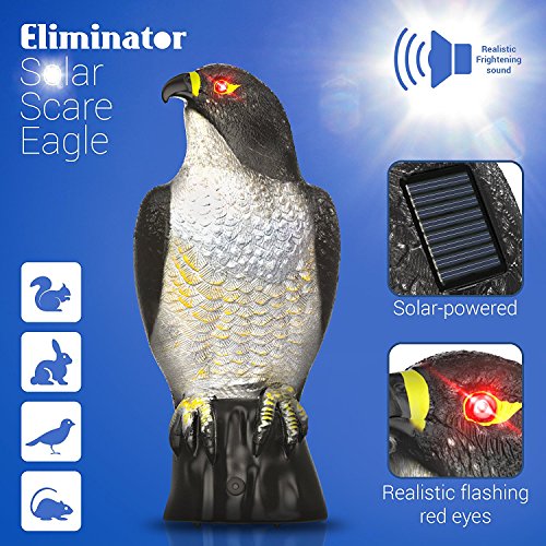Eliminator Scarecrow Eagle Decoy with Scary Lighted Eyes and