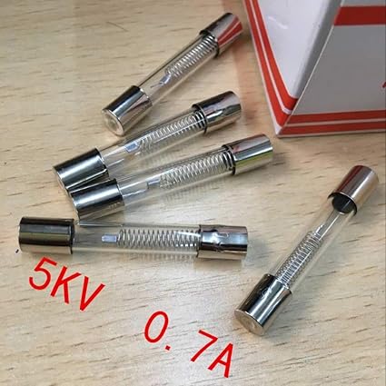 10 fusibles de microondas 5 kv 0,7 a 5000 V 700 ma: Amazon.es ...