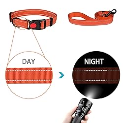 Reflective Dog Collar and Leash Set with Safety