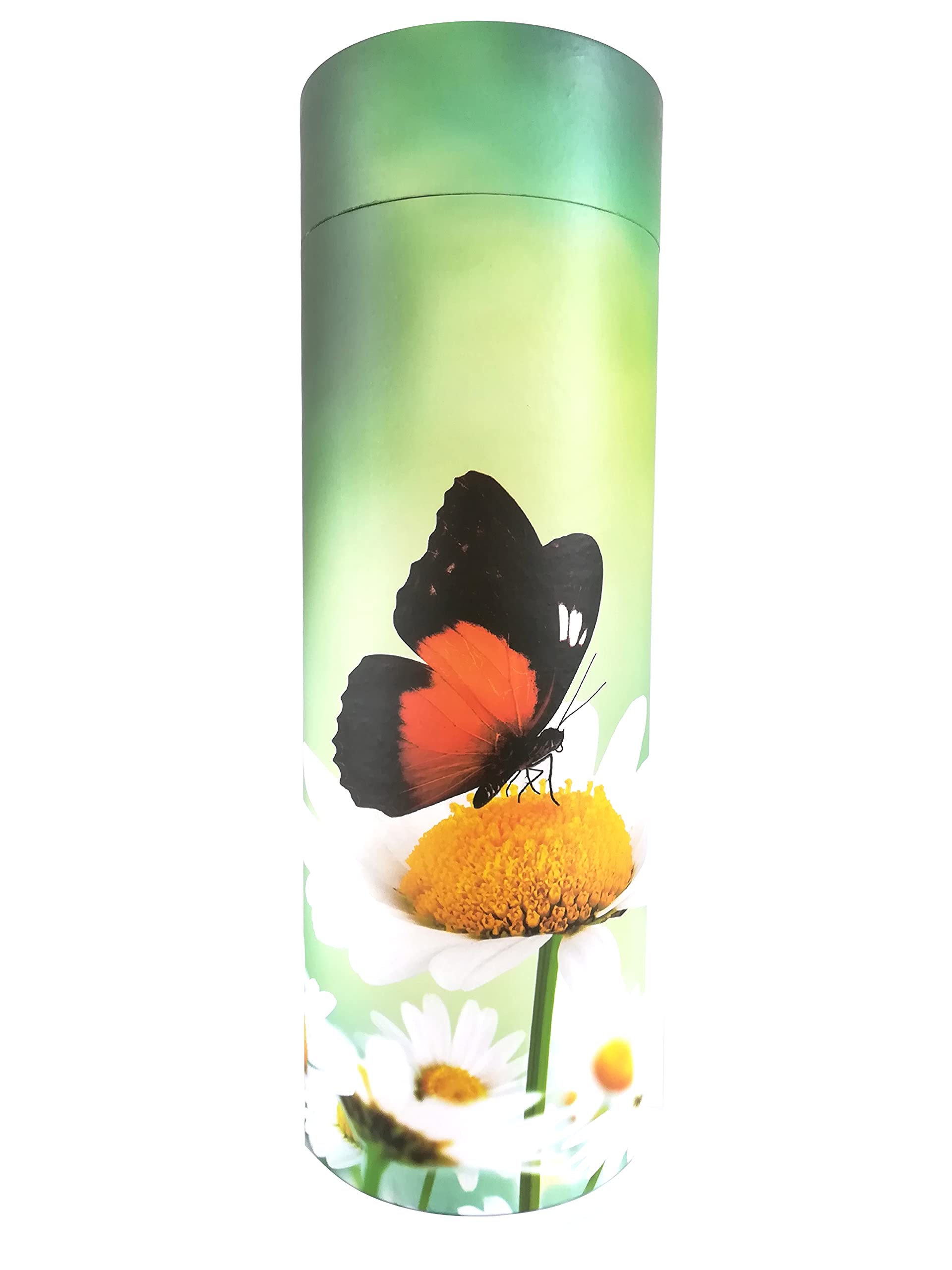 Butterfly Scatter Tube for Adult Ashes – Large Biodegradable Cardboard Cremation Urn