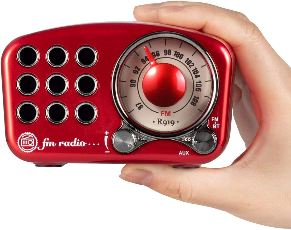 Radio PRUNUS J919 Classique Rétro Rechargeable Portable FM, Lecteur