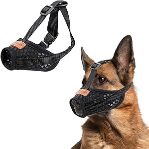 dog hairball treatment