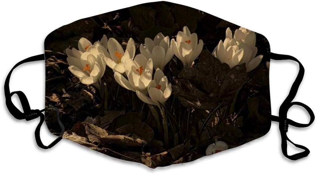 168 Crocus Face Mask Breathable Reusable for Outdoor Mouth Masks Sport Dust Polyester Masks
