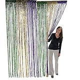 Fun Express Mardi Gras Fringe Curtain (3 feet. x 8 feet) Mardi Gras Party Decor