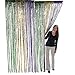 Fun Express Mardi Gras Fringe Curtain (3 feet. x 8 feet) Mardi Gras Party Decor primary