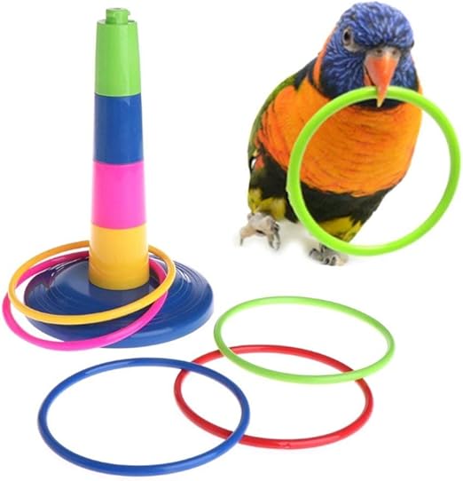 jouet pour inseparable