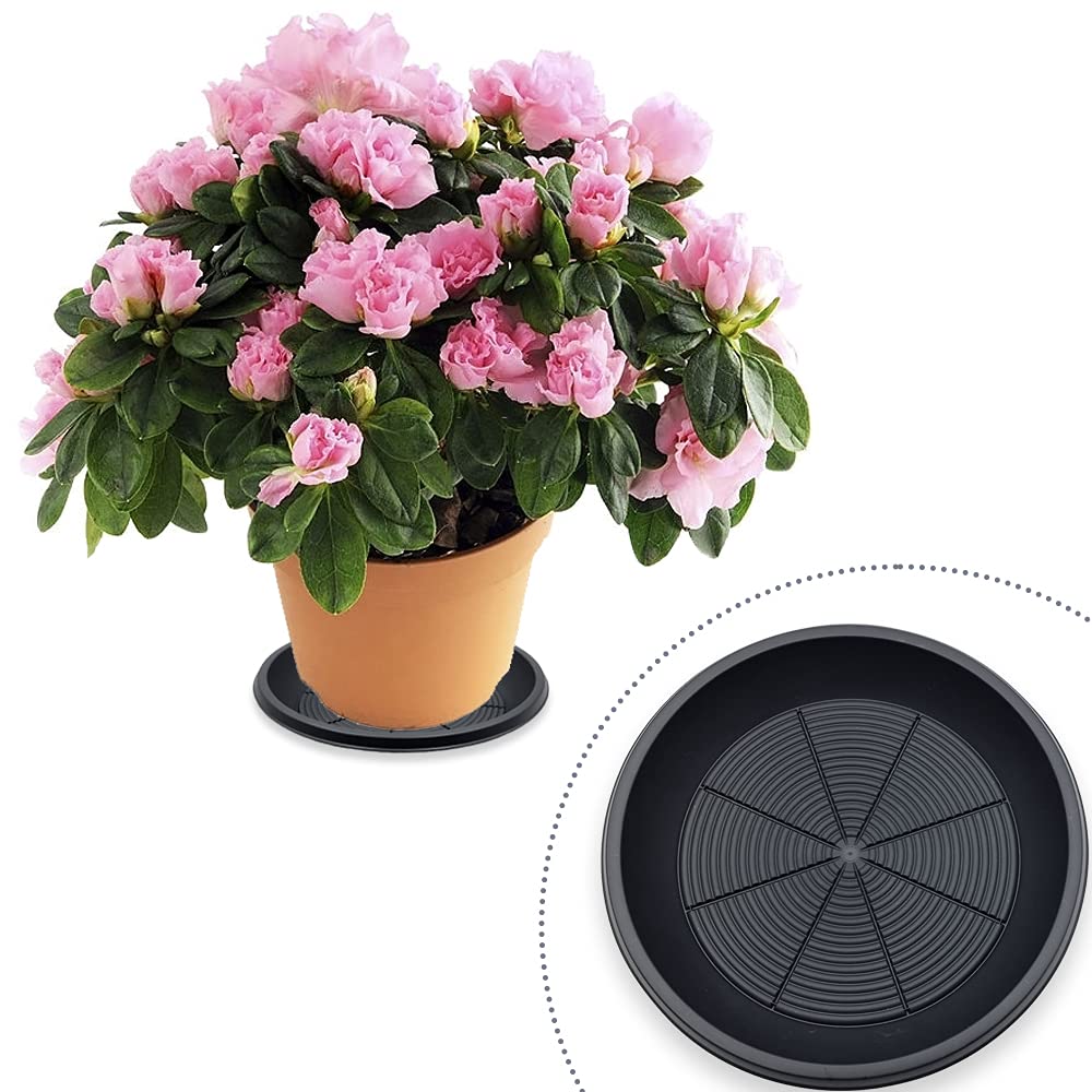schone Flowerpot Saucer Campana – Black Coloured – Collects Drainage & Dirt – Keeps your Home, Balcony & Garden Clean – Ideal for Use with Pots – ADDS BEAUTY TO YOUR GARDEN