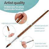 Thinp 12Pcs Watercolor Brush Set Round Pointed Tip Nylon Hair Detail view 3