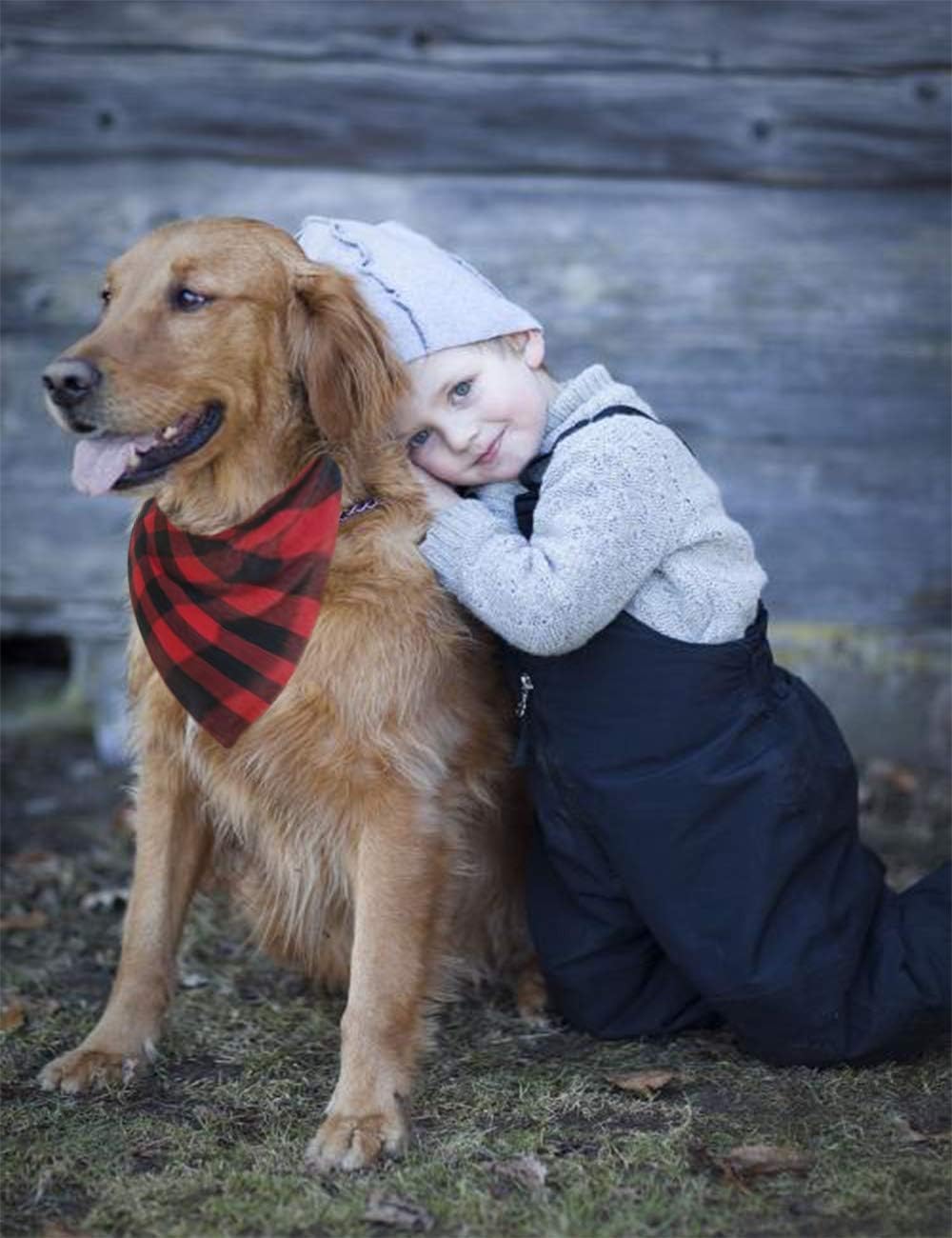 Malier 2 Pack Dog Bandana Christmas Classic Plaid Pet Bandana Scarf Triangle Bibs Kerchief Set Pet Costume Accessories Decoration for Small Medium Large Dogs Cats Pets (L, Red Plaid + Red Plaid) : Pet Supplies