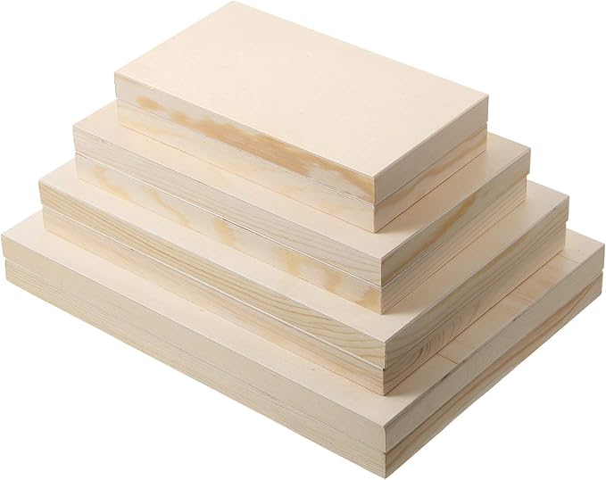 8 Pieces Assorted Size Unfinished Wood Canvas, Blank Wooden Canvas