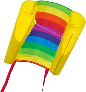 CIM Einleiner-Drachen - Beach Kite Rainbow - Einleiner Flugdrachen für Kinder ab 6 Jahren - Abmessung: 74x47cm - inkl. 40m Drachenschnur und Streifenschwänze