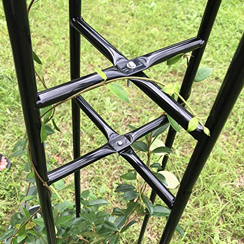 XJAXY Rankhilfe, Kletterhilfe, 80.7in Garten Gitter für Kletterpflanzen und Blumen, Metallpflanze Trellis für den… – Bild 6