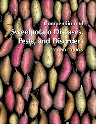 Compendium Of Sweetpotato Diseases Pests And Disorders - 