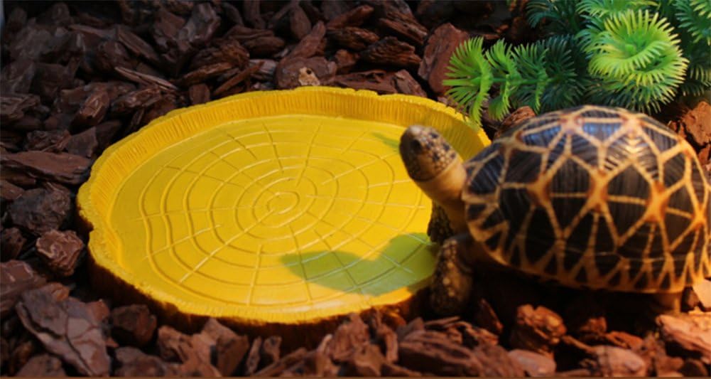 Set of 2 Reptile Tortoise Water Dish Food Bowl Feeders for Amphibians Gecko Snakes Lizard Chameleon, Yellow, Brown - Image 3