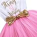 Girl Newborn It's My 1st/2nd Birthday Shinny Printed Tutu Princess Dress Outfit Set Pink (1 Years)